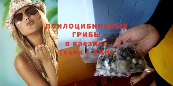 прущий лед Аркадак