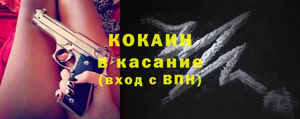 индика Армянск