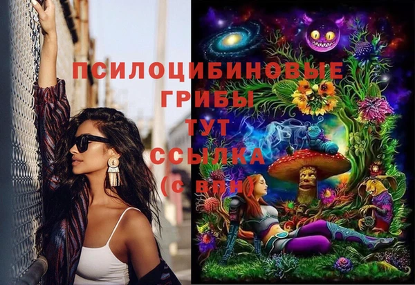 индика Армянск