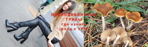 прущий лед Аркадак