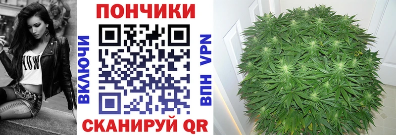 Шишки марихуана Amnesia Барыш